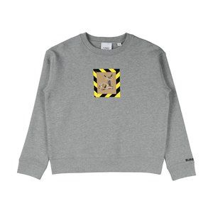 Burberry sweatshirt (10 yrs kids)